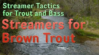 Streamer Tactics for Trout and Bass Streamers and Bucktails for Brown Trout [upl. by Ephraim]