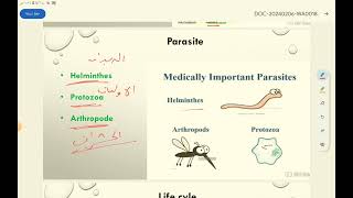 introduction of parasitology [upl. by Nerha489]