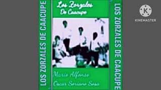 Los Zorzales de Caacupe 1974 [upl. by Eignav]