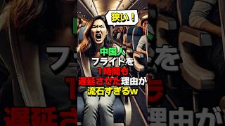 ㊗️15万再生！勝手にファーストクラスへ移動する中国人のせいで1時間もフライトが遅延した結果 [upl. by Tjader]