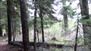 Oregon Camper goes Missing at Bigfoot Sighting Hot Spot [upl. by Bianchi825]