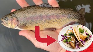 MOUNTIN TROUT CATCH AND COOK PuddingstoneFrank G Bonelli [upl. by Dobbins]