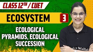 Ecosystem 03  Ecological Pyramids Ecological Succession  Class 12thCUET [upl. by Assira741]