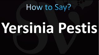 How to Pronounce Yersinia Pestis correctly [upl. by Chappie149]