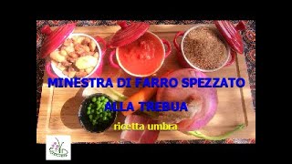 minestra di farro spezzato alla trebua [upl. by Herzig]