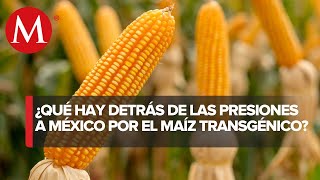 México importa casi 17 millones de toneladas de maíz transgénico [upl. by Edyaj]