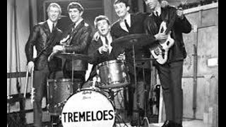 Here Comes My Baby Tremeloes Drummer Life Story Interview Dave Munden [upl. by Sternlight270]