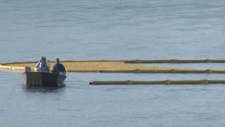 Catholic Charities set to host Rubber Duck Regatta and Quick Quack Race [upl. by Lombard711]