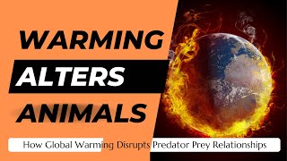 Ecosystems in Peril How Global Warming Disrupts Predator Prey Relationships [upl. by Clovah]