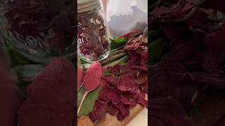 Dehydrated Beet Chips [upl. by Ikiv659]