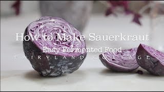 How to Make Sauerkraut  Easy Fermented Food  Healthy Gut [upl. by Campball]