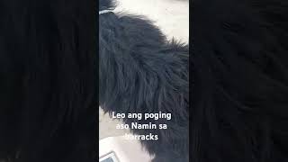 trending benguet fyp viral trending IlokanoAk travel [upl. by Sile]