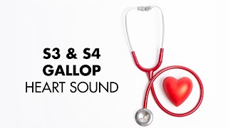 S3 and S4 Gallop  Heart Sounds  MEDZCOOL [upl. by Shumway723]