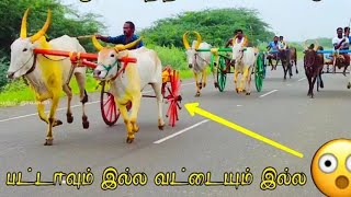 Rekla race today vera level pandhayam [upl. by Pleasant]