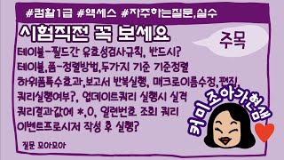 컴활1급액세스자주하는 실수질문시험전꼭보고가세요 [upl. by Aivata408]