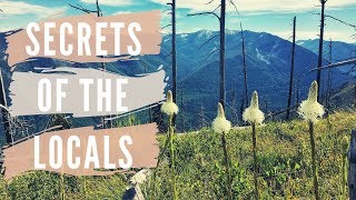 Montana Secrets of the Locals Episode 2  Polebridge Bowman Lake amp Hornet Lookout [upl. by Auqinahc]