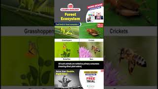 Forest Ecosystem  Learn Biology with Home Revise [upl. by Naitsirc]