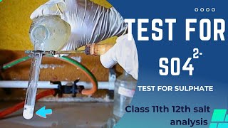 Test for sulphate So42 anion salt analysis for 11th and 12th saltanalysis a2zpractical991 [upl. by Kilah218]