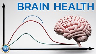 Grading Brain Health on a Curve [upl. by Ashatan]