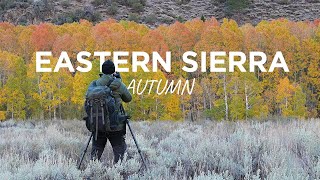 Fall Landscape Photography in the Eastern Sierra [upl. by Haile836]