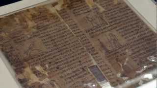 Joseph Smith Papyri Display [upl. by Vina835]