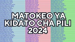 TAZAMA HAPA MATOKEO YA KIDATO CHA PILI 2024NECTA FTNA RESULTS 2024 [upl. by Eciruam]