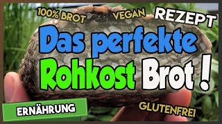 Rohkostbrot glutenfrei 🍞 Das PERFEKTE Brot [upl. by Halilak]