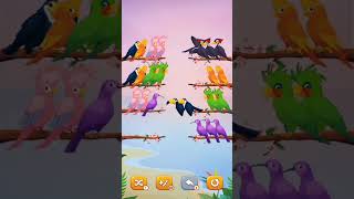 cute birds shortviral vlogs shotcutebirds bhojpuri ganashortvidtrendingshorts [upl. by Acinehs]