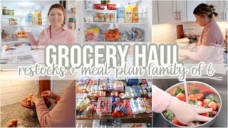 FAMILY OF 6 WEEKLY GROCERY HAUL  FRIDGE RESTOCK  ORGANIZATION  MEAL PLAN [upl. by Teuton]