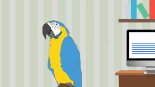 Stop Screaming Polly Intro Video  Stop Parrot Screaming [upl. by Vally]