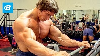 How To Train For Mass  Arnold Schwarzeneggers Blueprint Training Program [upl. by Feola827]