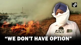 “We dont have any option” says farmer in Amritsar on stubble burning in fields of Punjab [upl. by Anileme22]