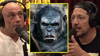 DISTURBING Chimp Attacks On Humans  Joe Rogan amp Sal Vulcano [upl. by Dennard]