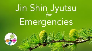 Jin Shin Jyutsu for Emergencies [upl. by Madora]