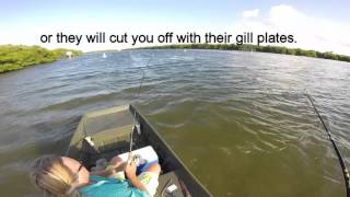 How to Catch Tons of Tarpon on the Treasure Coast of Florida [upl. by Fionna518]