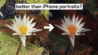 Portrait Mode on any iPhone  Improve Your Photos with Focos App  Day 3 [upl. by Haronid]