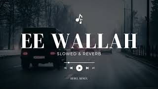 Ey Wallah Mehtajeda Slowed  Reverb  Rebel Remix [upl. by Rodger]