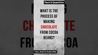 What is the process of making Chocolate from Coca Beans factshorts [upl. by Anahsek720]