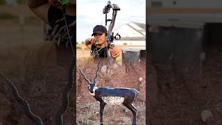 Have you ever shot a hinge releasemathewsarchery archery bowtech hoyt hoytarchery bowhunting [upl. by Ahsieym]