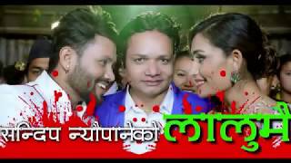 Lalumai Lyrics New Nepali song 2075 Bishnu Majhi Sandeep Neupane Lyrical Video [upl. by Nwadrebma]