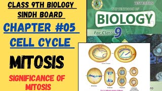 Mitosis  significance of mitosis  Cell Cycle  Complete topic  Sindh Board By Umm e Aiman [upl. by Netsuj643]