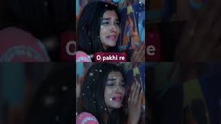 O pakshi re vairalsong shortvideo breakup song [upl. by Hgielrahc347]