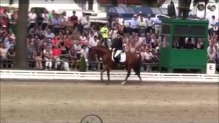 Sir Heinrich Hengst  Bundeschampionat 2014 [upl. by Barnum]