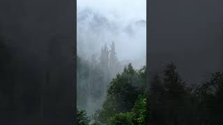 Misty Tianzi Mountains tianzi china shorts [upl. by Litnahs]