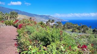 Parador de La Palma  Isole Canarie [upl. by Esikram]