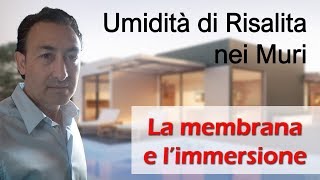 Evitare lumidità di risalita nei muri con la membrana e limmersione [upl. by Ohaus]