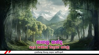 Nagala kanda  නාගල කන්ද පද්‍ය පන්තියේ වැදගත් කරුණු [upl. by Laux]