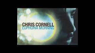 chris cornell euphoria mornig full cd [upl. by Derrick]