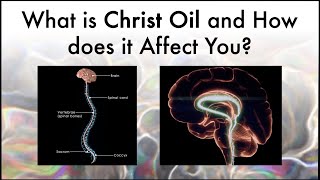 What is Christ Oil  Sacred Secretion  Kundalini Energy and how does it AFFECT YOU [upl. by Nira]