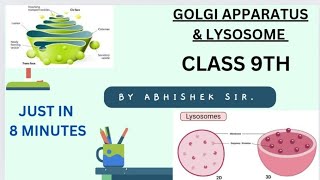 CLASS 9TH GOLGI APPARATUS and LYSOSOME BOTH IN HINDI AND ENGLISH [upl. by Nidorf3]